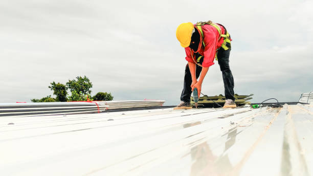 Best Skylight Installation and Repair  in Redwood, OR